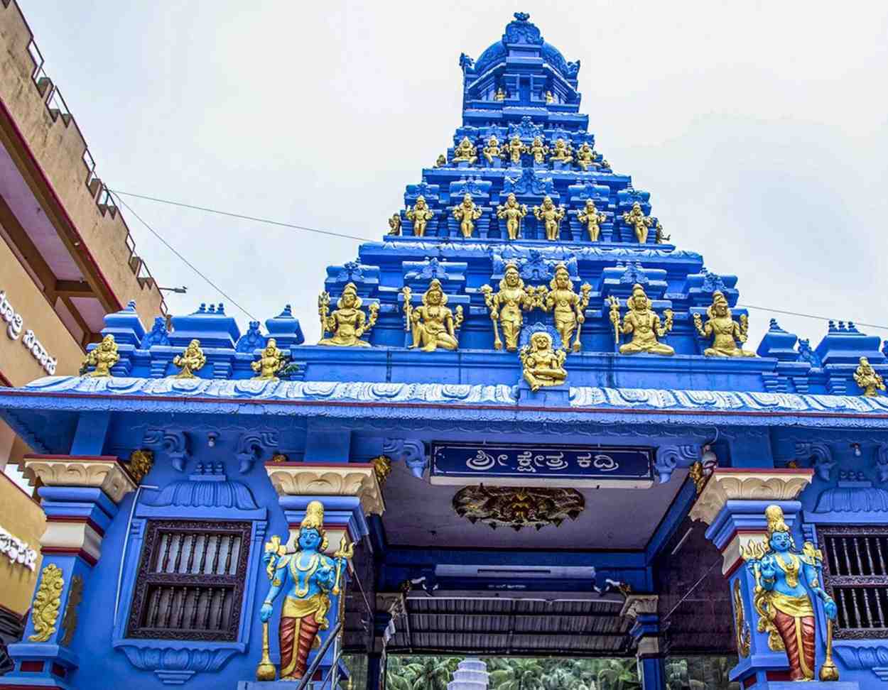 Private Temple Tours from Mangalore Port