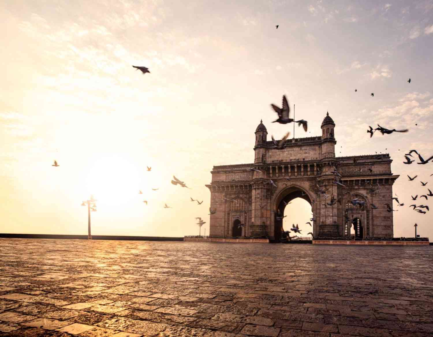 The 6-Hour Golden Window in Mumbai