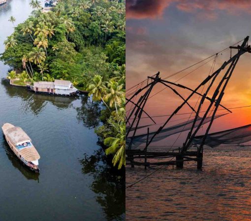 Backwaters vs. Fort Kochi Which Cochin Shore Excursion is Right for You