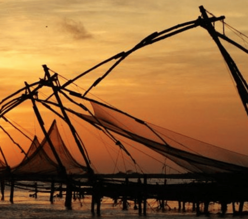 Cochin Shore Excursions