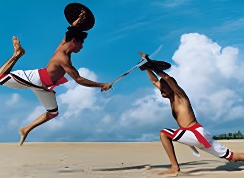 Cochin Heritage Tour with Kerala Martial Art Show