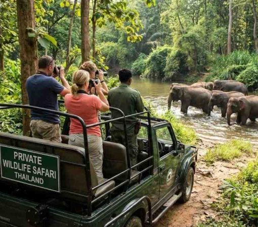 Jungle Safaris Wildlife