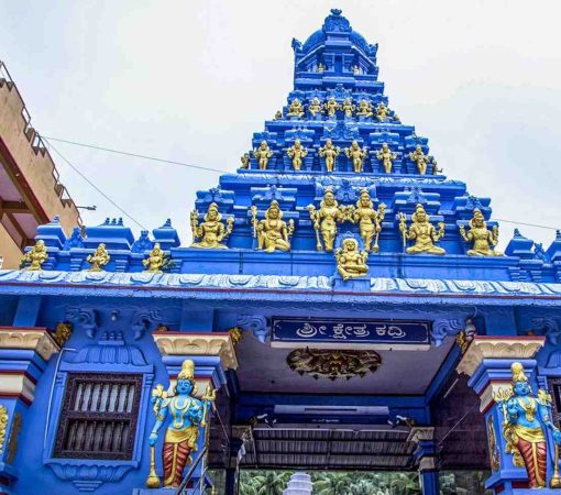 Private Temple Tours from Mangalore Port