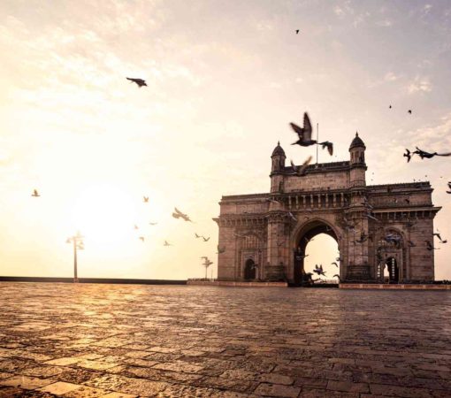 The 6-Hour Golden Window in Mumbai