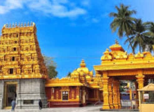 PANORAMIC MANGALORE SHORE EXCURSION